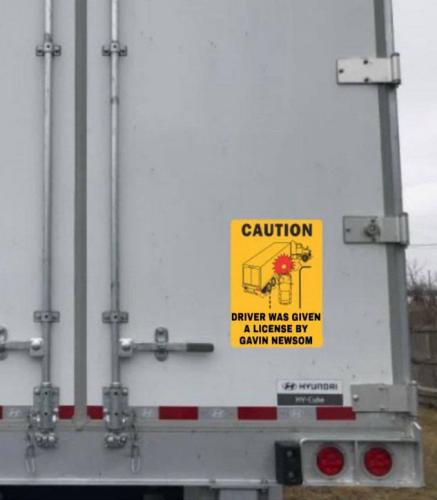 illegal immigration517