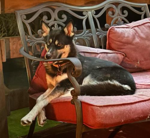 B4D4D2E8-0FCB-463F-8652-1284C0042FCF