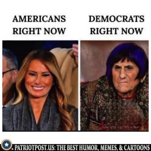 01K3113CECY2ZT9GK9DPKP2RRT