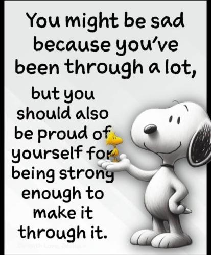 1d2431b76aa1b33aada8b056fca770a5