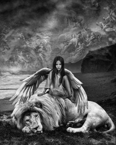 4570e3ecebcd8fadecf8dc56fff8fbcd