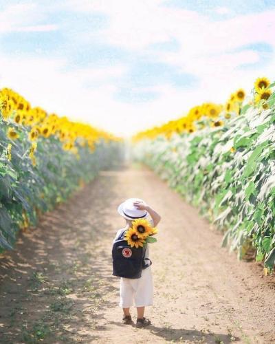 4d6bb490930b883d590cd3704673a72a