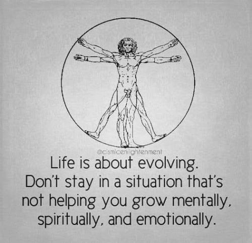 529686177_766973396218855_2629964235873279171_n