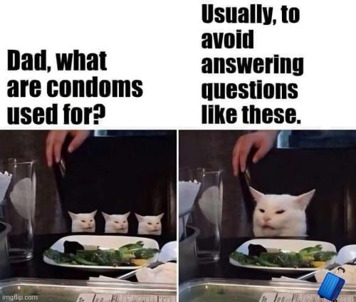 ECF7559F-AD65-4115-B130-0B61A683DF66