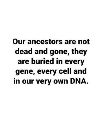 537135170_778177971765064_3524920302105074347_n