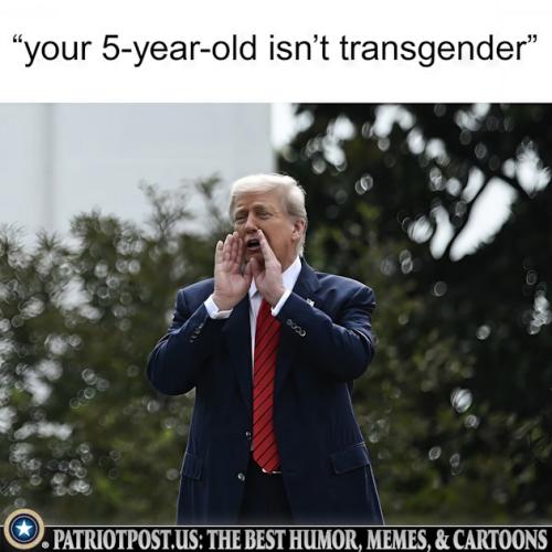 01K24PD553BP8JX9DWVKKSP01T