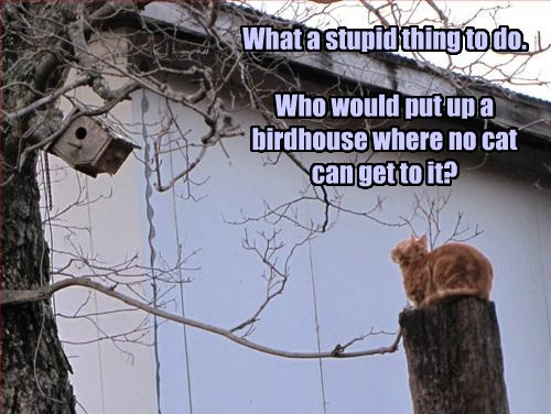 tsk-tsk-horrible-planning