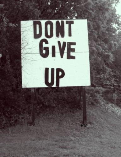 6247fd576a5d15b29e7e90348f551b4a