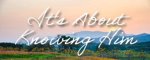 65569479-1948-4dc3-a754-fe028b0b9e98