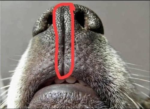 66e826b2-7247-4bcb-85c4-5d333092aed6