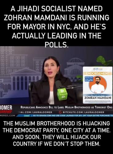 D387AC87-5643-40BF-AF79-595ACE063B24