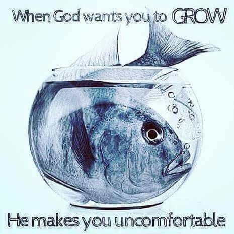 5e5942754ffa425b530f1922ed9f87bf