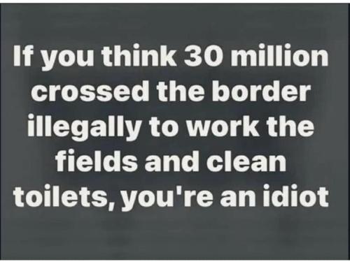 fc52e11c6c281095fa81b6fc72533e1c_768x0