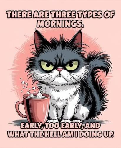 530334001_122137162064707636_1951244810431965776_n