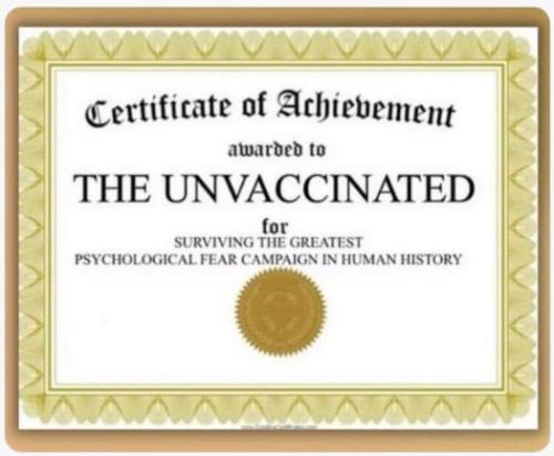 532080471_1351096426374201_6379524294594882559_n