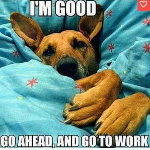 877c20aec23631fb079f0c8e7b500fa0