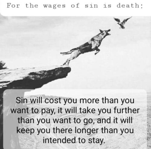 95ed5b5b-719e-4370-8c4a-b22d10e92445