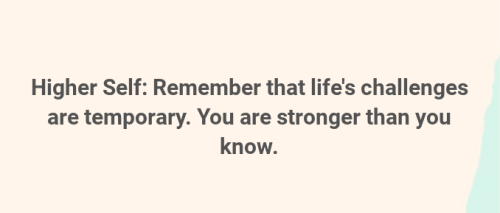Screenshot 2025-08-27 6.06.09 PM