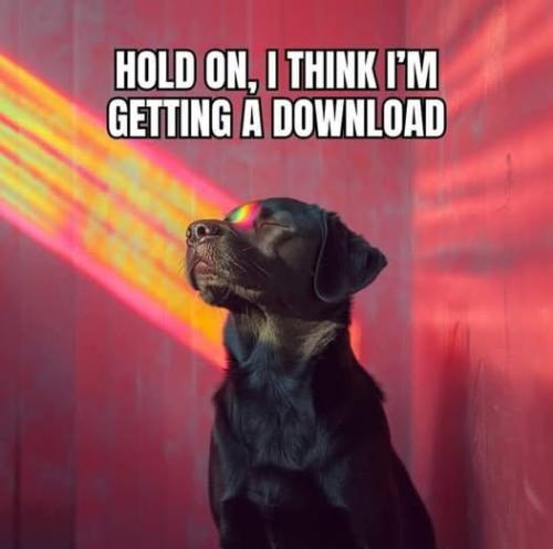 533558946_772552035660991_5384849131567874346_n