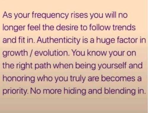 540059819_780576034858591_4003493936116494502_n