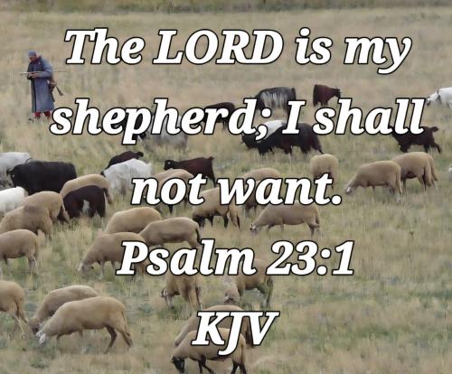 844293af-3bf3-4293-afe2-784361f9739b