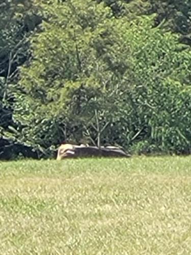 63afc58e-f37e-4ad8-974a-0f8aff002441