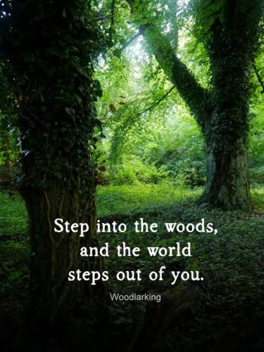 540757703_10162069108804958_7000912276808994462_n