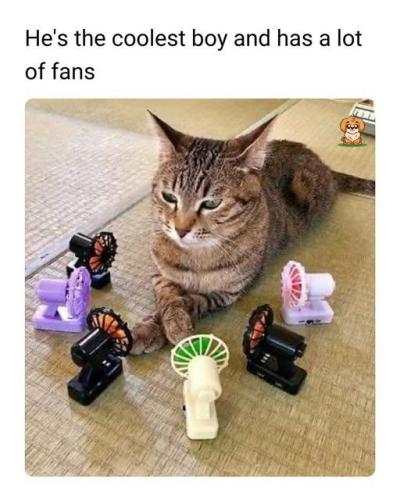 514254759_1304194364621313_8773362545697683793_n