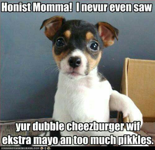 9c69b5c4a2f97f9135fbf538de0d3630