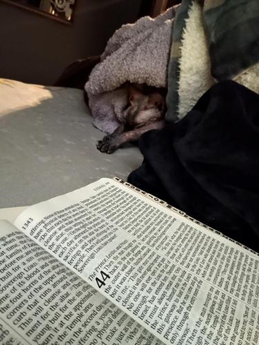 79355c78-2e77-4017-8232-24cfa7d51b49