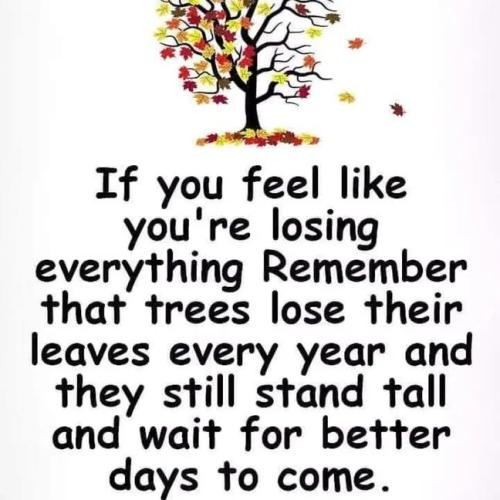 IMG_20250807_002616_990