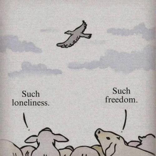 357434f3151f68f0c700dbef85dccccb