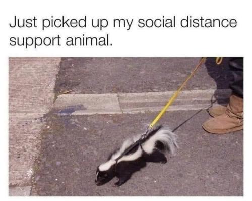 FB_IMG_1755915402713