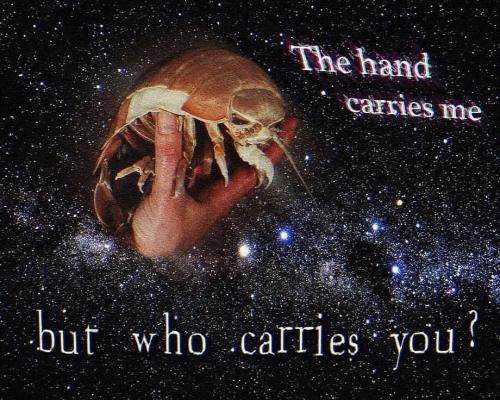 FB_IMG_1755259288182