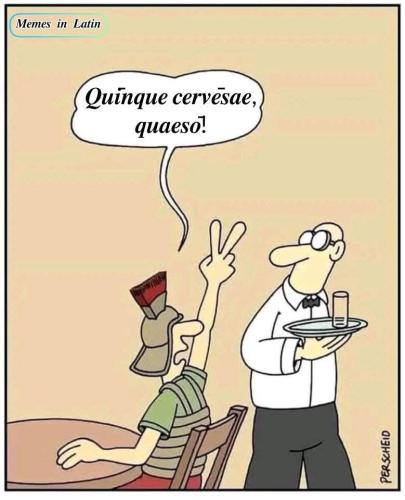 FB_IMG_1748910026007