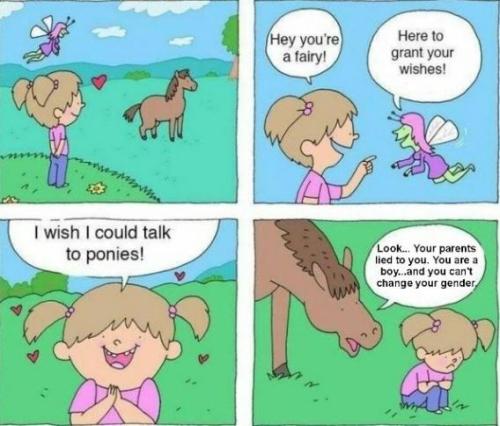 talk-to-ponies