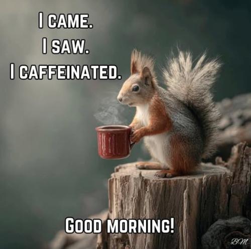 537733507_1439354220663206_9095602495968513457_n