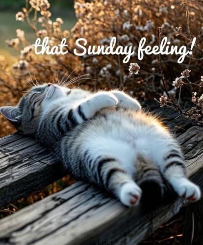 d7d1f318c0d909a3db67c2f33f5f51af