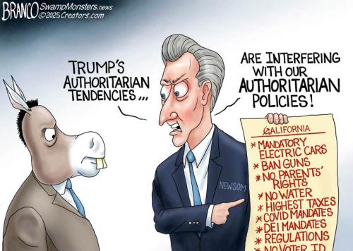 BRANCO NEWSOM