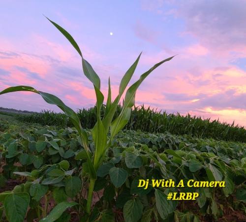 Screenshot_20250805_070107_Gallery