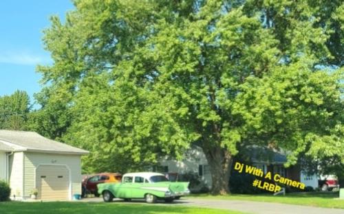 Screenshot_20250819_183941_Gallery