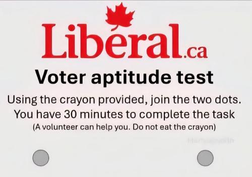 liberal voter appitude test