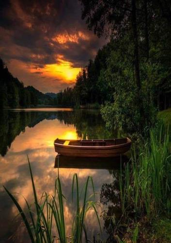 FB_IMG_1560881191747