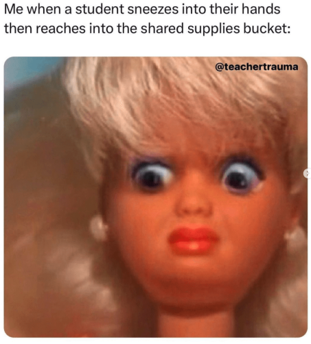 goods-student-sneezes-into-their-hands-then-reaches-into-shared-supplies-bucket-30-teachertrauma