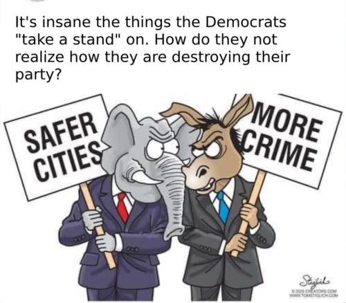 0259C4E7-4FD1-49F3-82E4-D551F2A4F80C