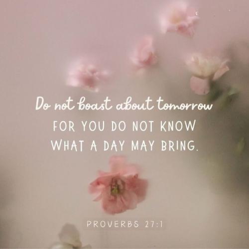 520284471_122159657318595457_3337665465312208158_n