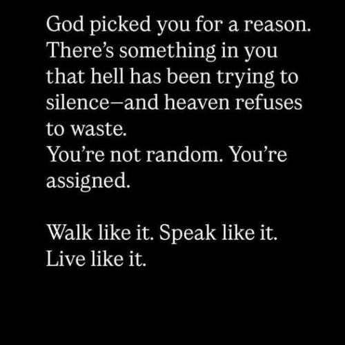 514328576_799415429278051_2173743172410278453_n