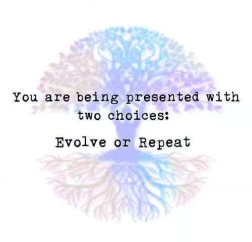 531991068_1289390119306113_5991959419102315316_n