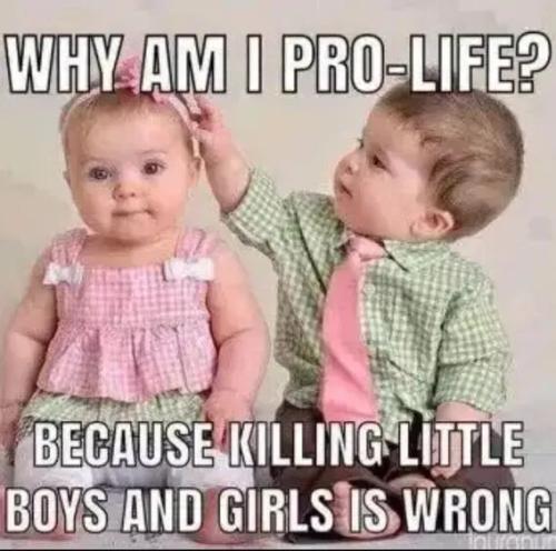 why-am-i-pro-life