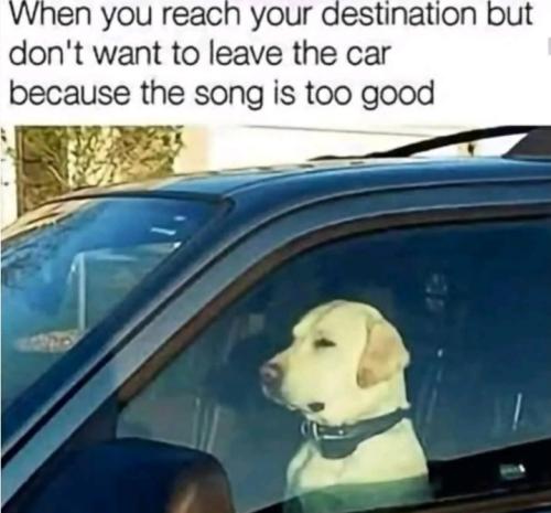 Screenshot_20250818_165006_Gallery